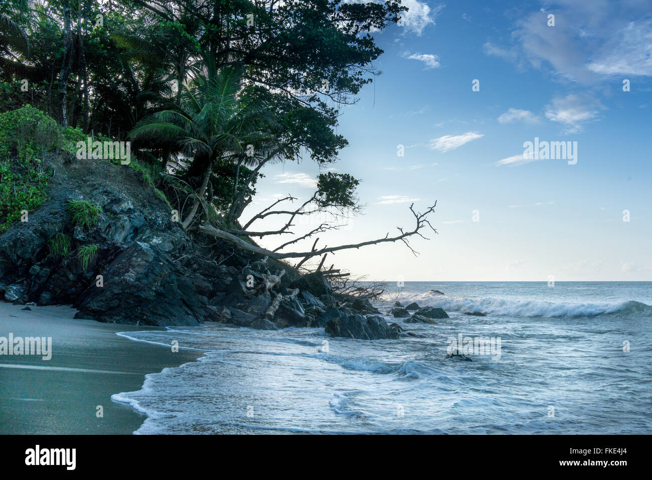 Trees on cliff at seashore, Trinidad, Trinidad And Tobago Stock Photo