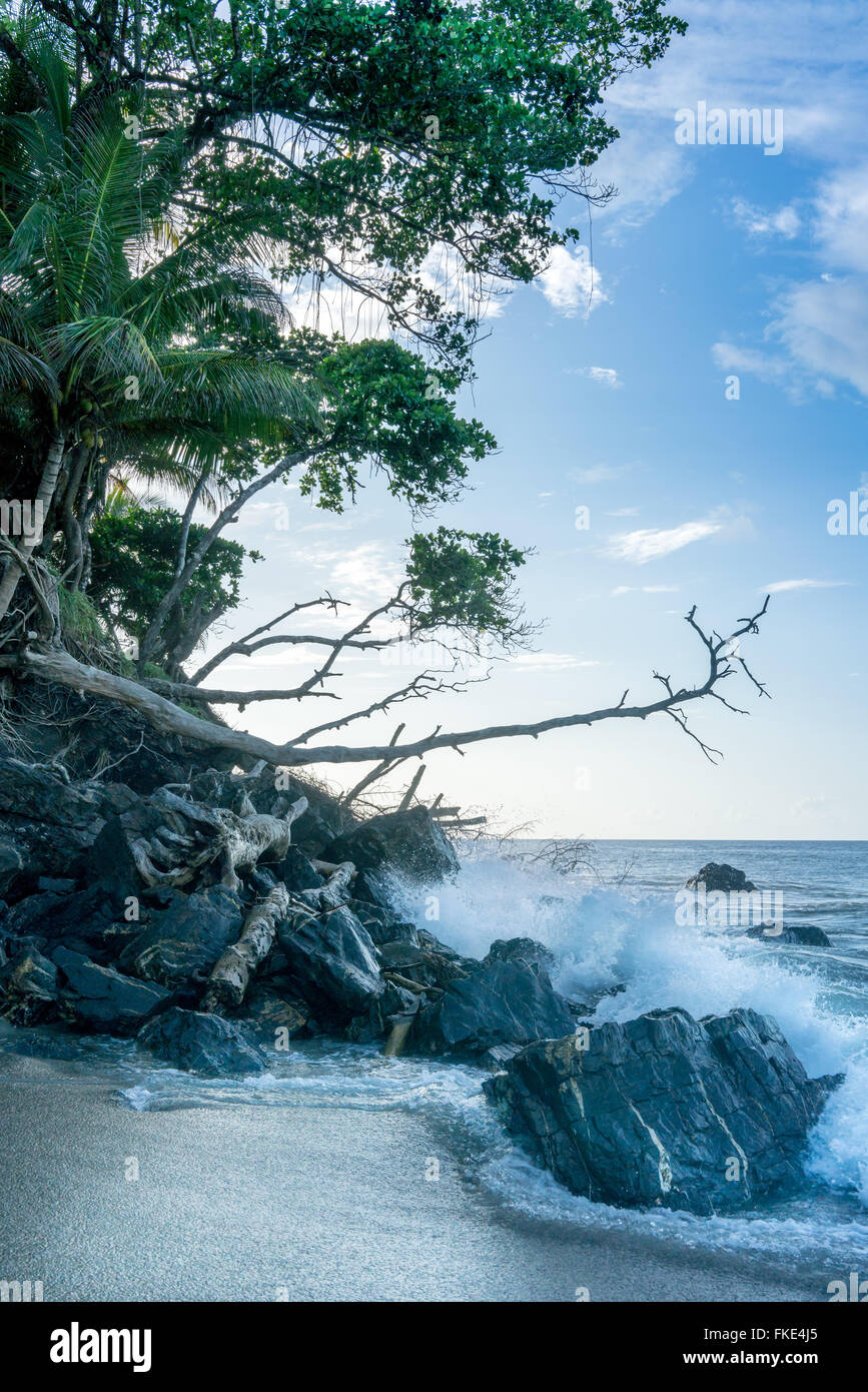 Trees on cliff and waves splashing on rock formation at seashore, Trinidad, Trinidad And Tobago Stock Photo