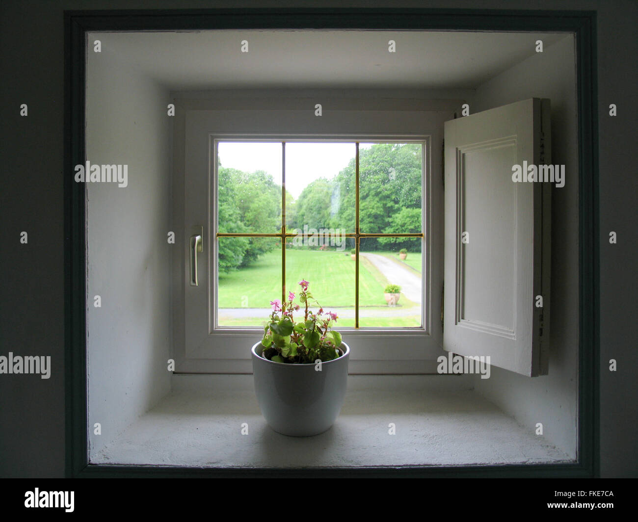 A small flower pot on a square window ledge looking out onto a garden Stock Photo Alamy