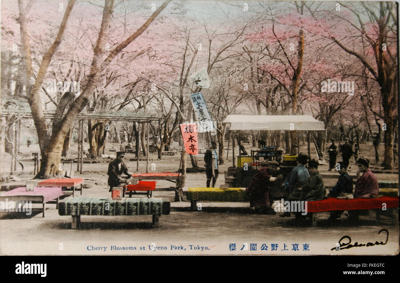 Vintage postcard of Uyeno Park in Tokyo in 1910 Stock Photo
