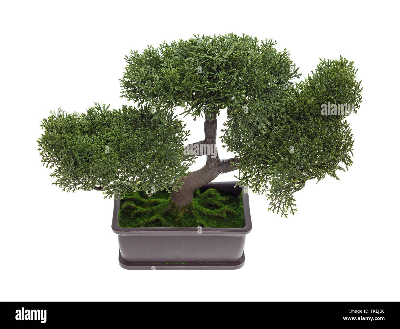 A small plastic bonsai tree isolated on a white background Stock Photo