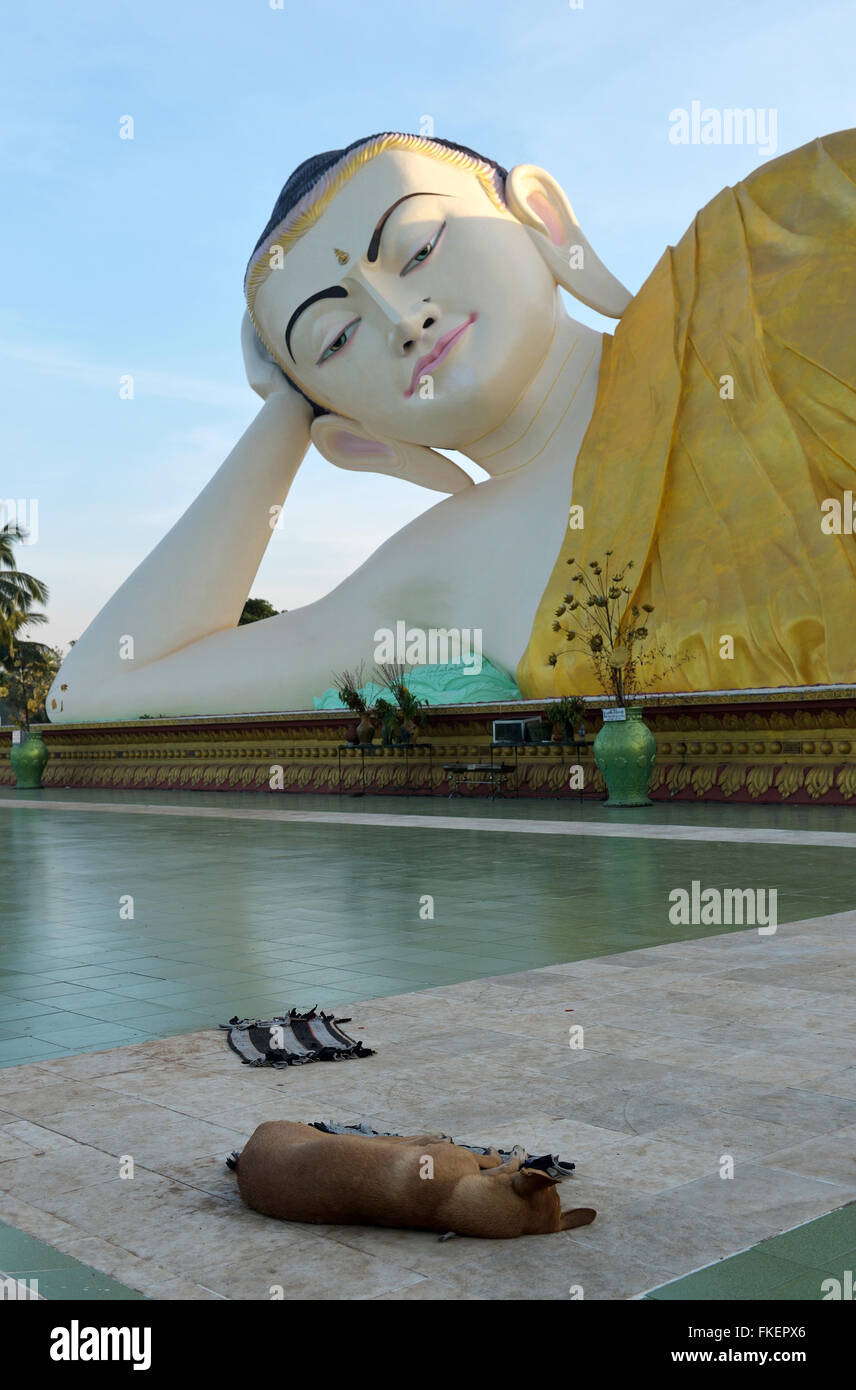 Statue of reclining Buddha, open air, Bago, Myanmar Stock Photo