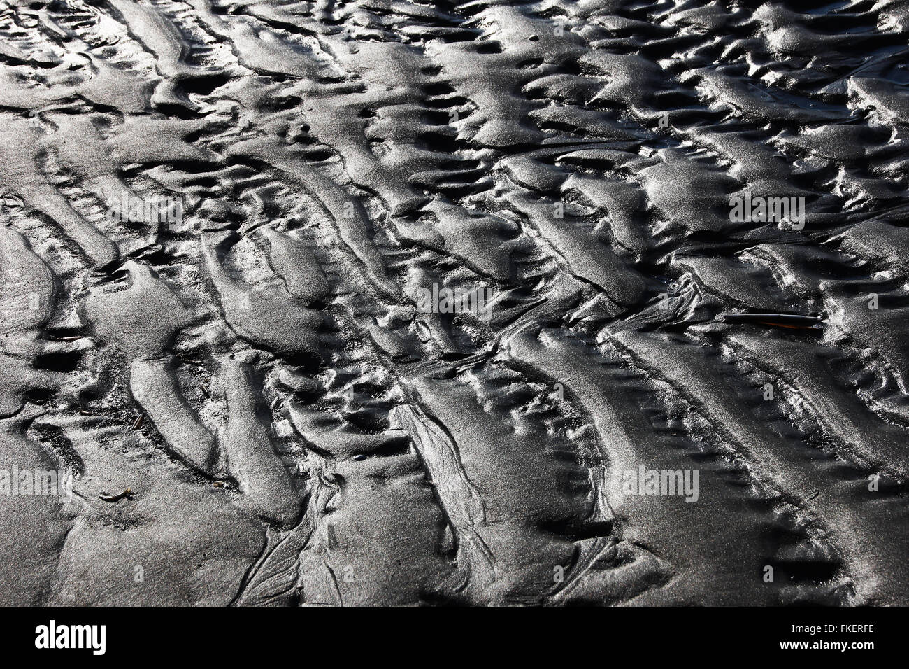 Wet sand, Watt, low tide, Goeree-Overflakkee, South Holland province, North Sea Coast, Zeeland province, The Netherlands Stock Photo