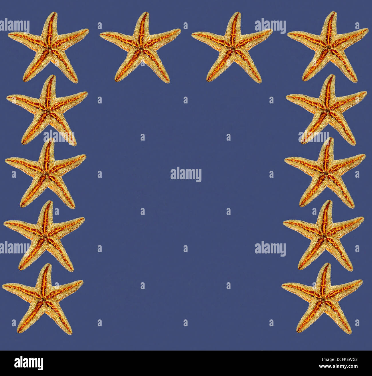sea stars background Stock Photo