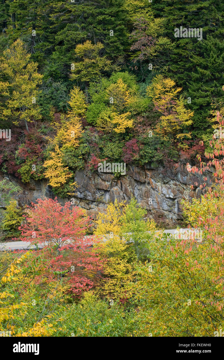 Smoky Mountain Road in Early Autumn Stock Photo Alamy