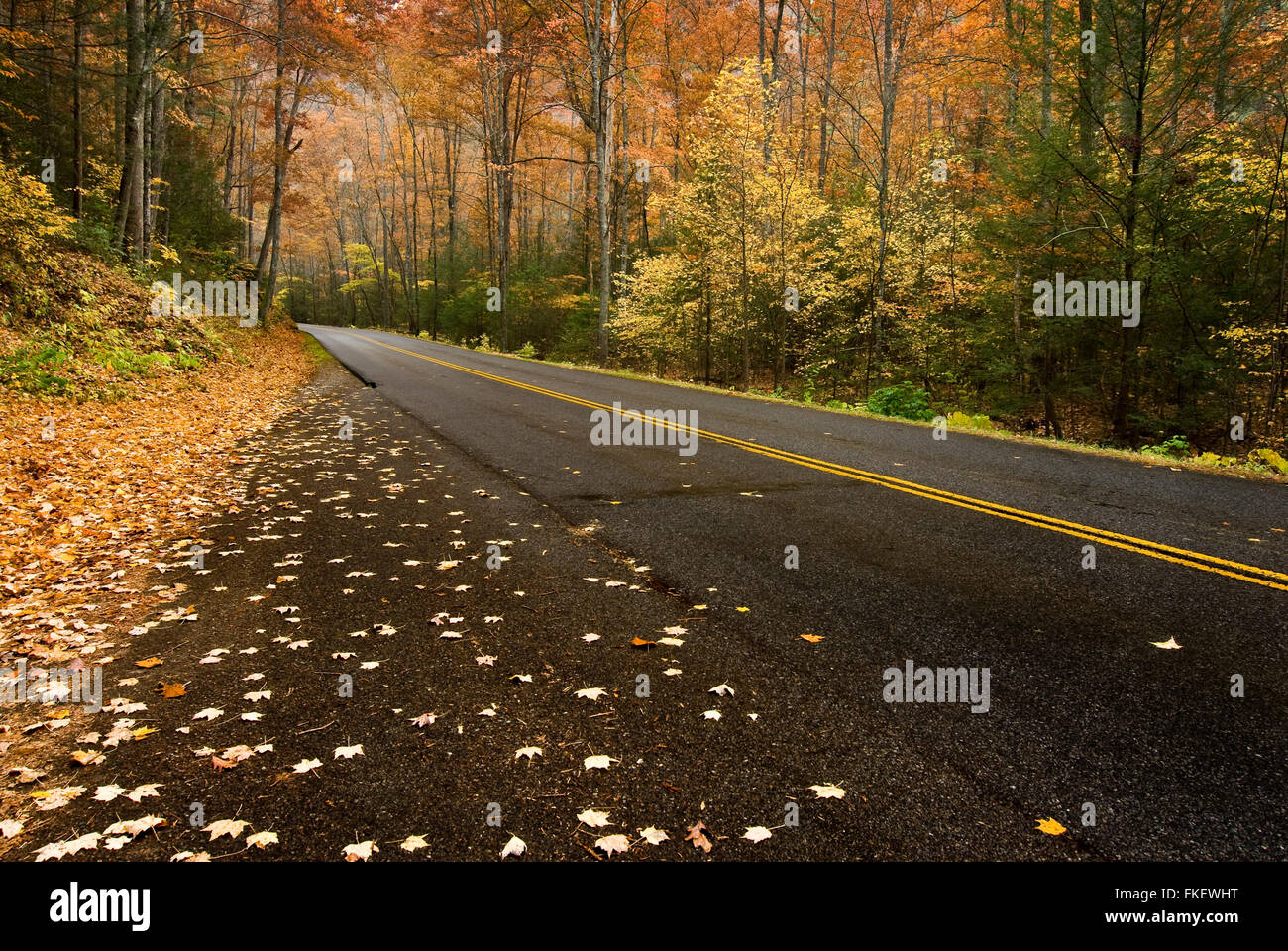 Smoky Mountain Road in the Rain Stock Photo Alamy