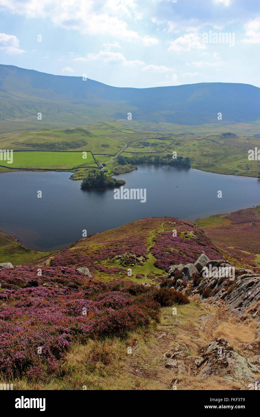 Scenery around lake Cregennan and Cadair Idris Gwynedd Wales Stock Photo