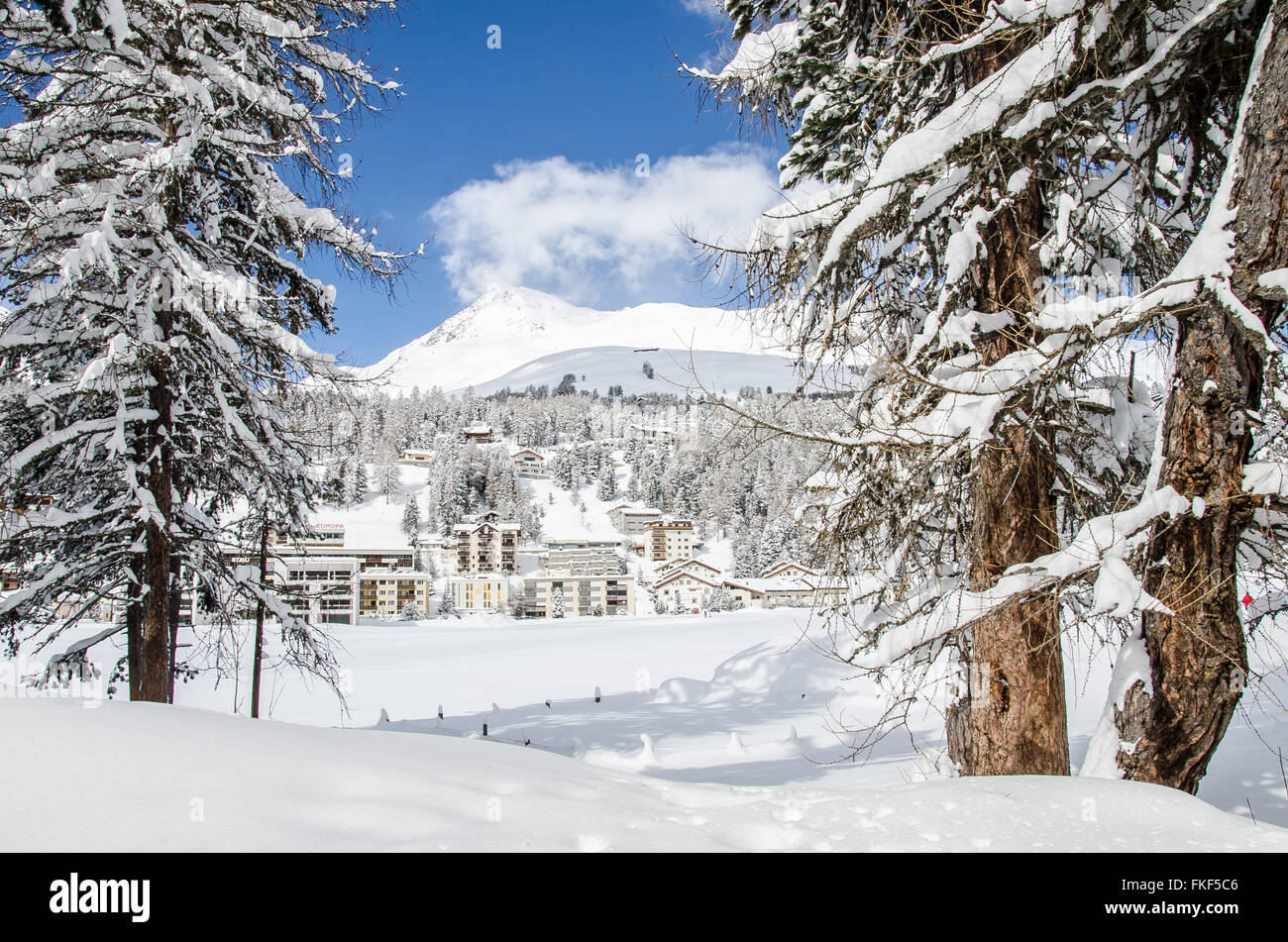 Upper Engadine, Kampfer and Silverplana, II., Grisons, Switzerland