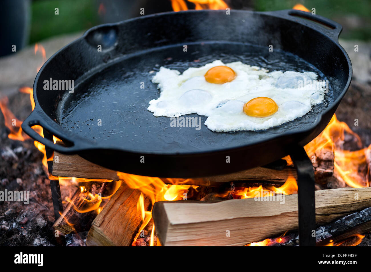 Burnt fried egg hires stock photography and images Alamy