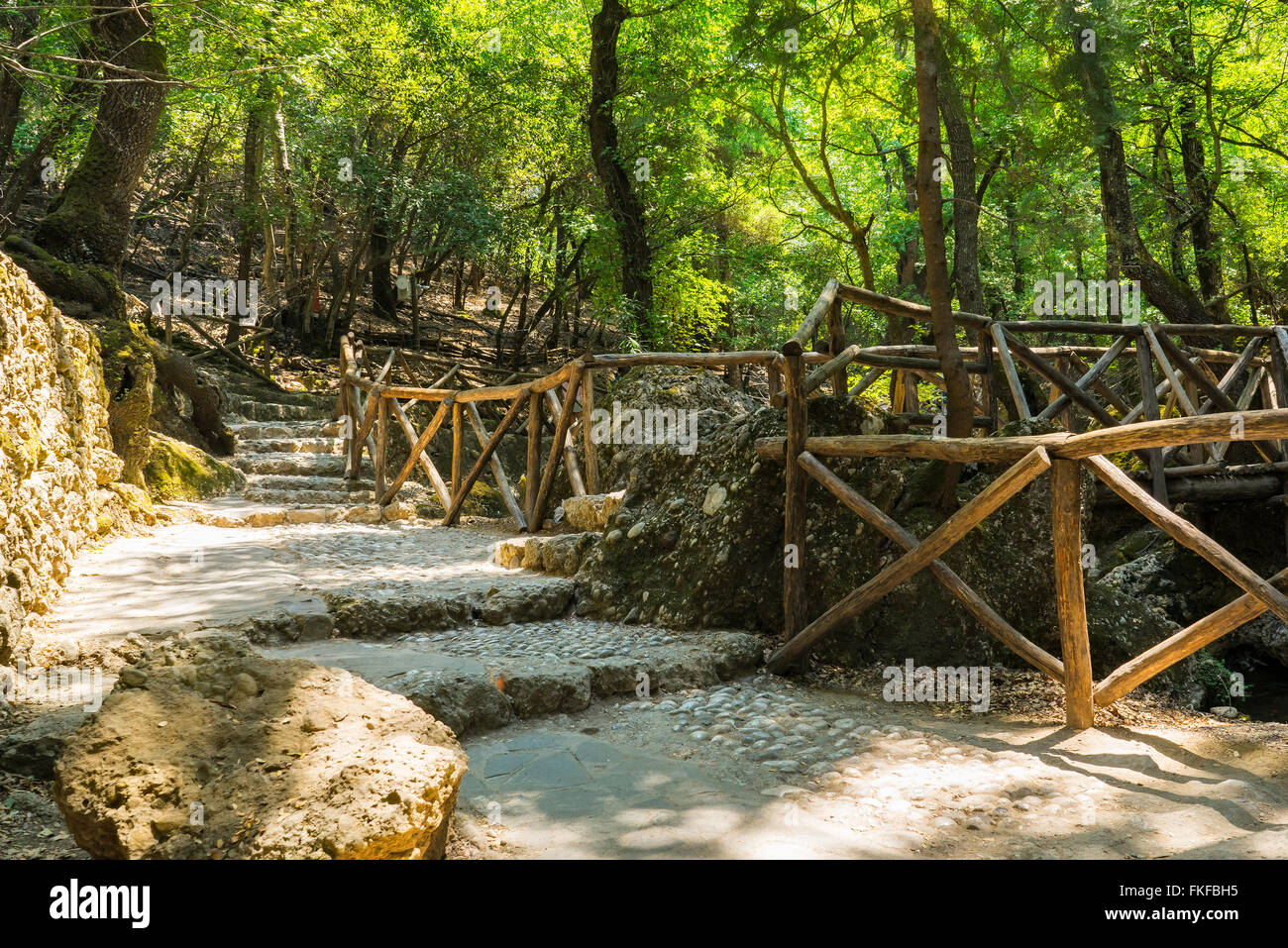 The Valley of the Butterflies (Peta Loudhes) Rhodes Greece Europe Stock Photo