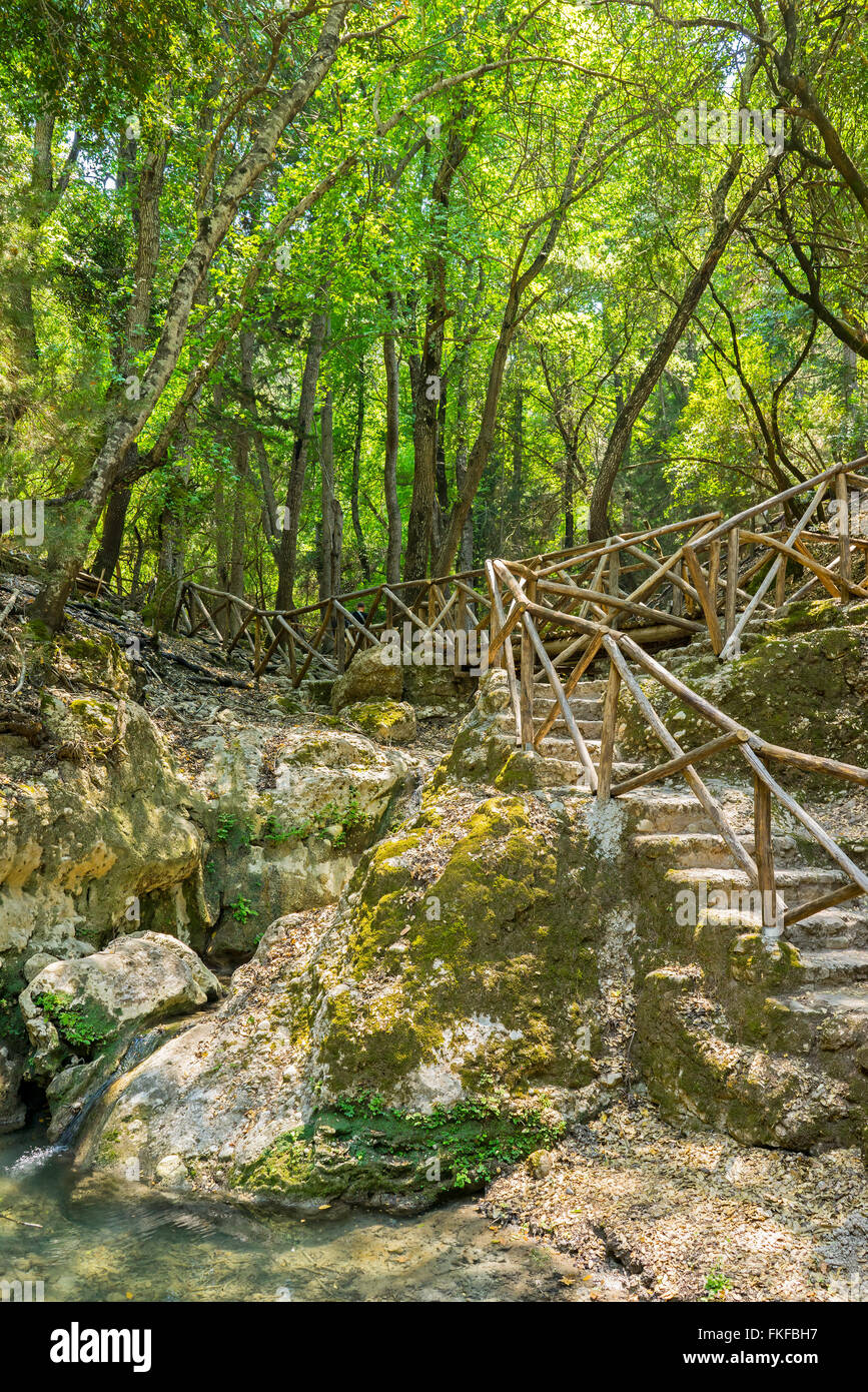 The Valley of the Butterflies (Peta Loudhes) Rhodes Greece Europe Stock Photo