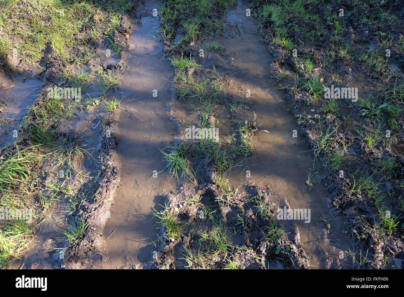 flooded and deeply rutted footpath Stock Photo