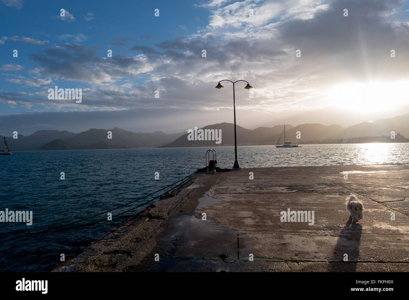 Running under sunset Stock Photo - Alamy