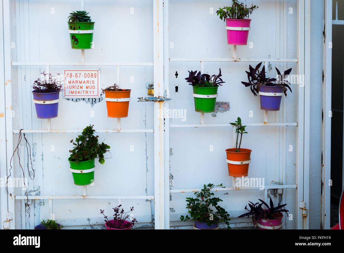 Flower on the wall Stock Photo Alamy