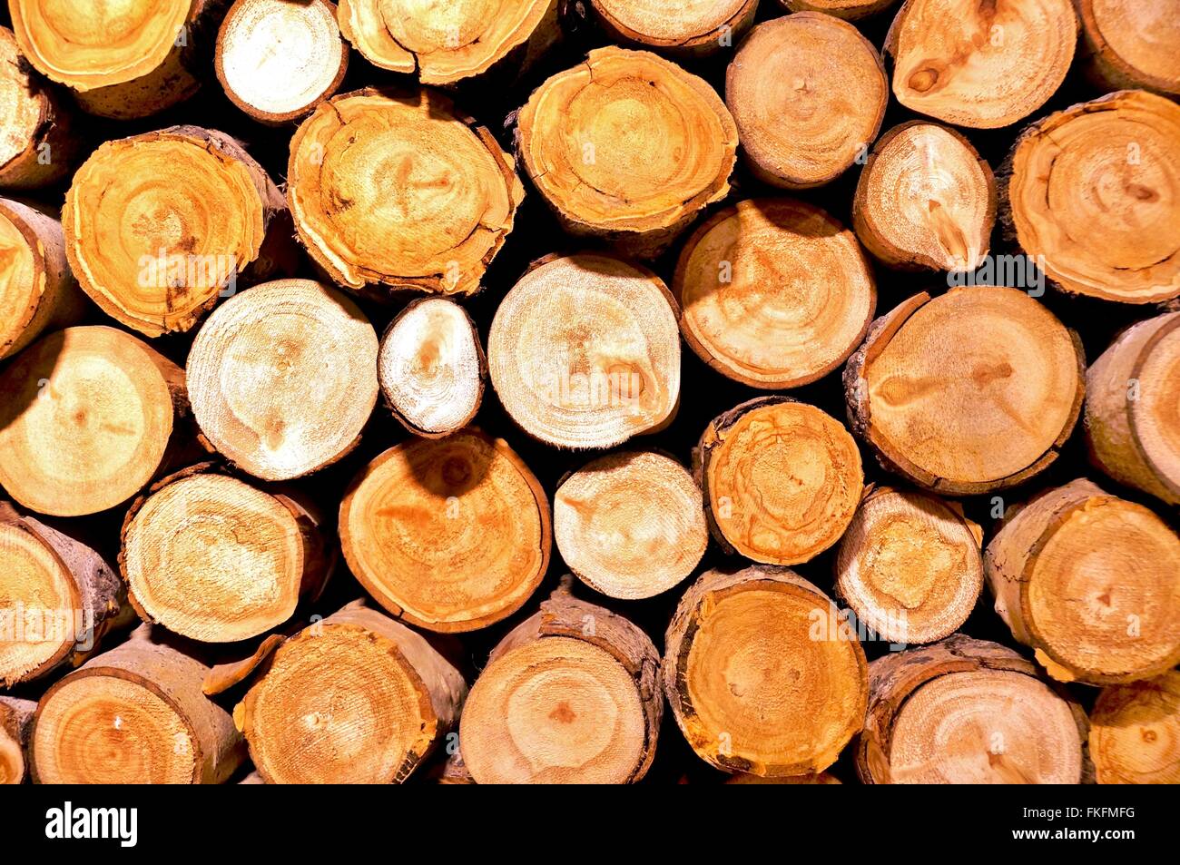 A pile of chopped round wood logs Stock Photo