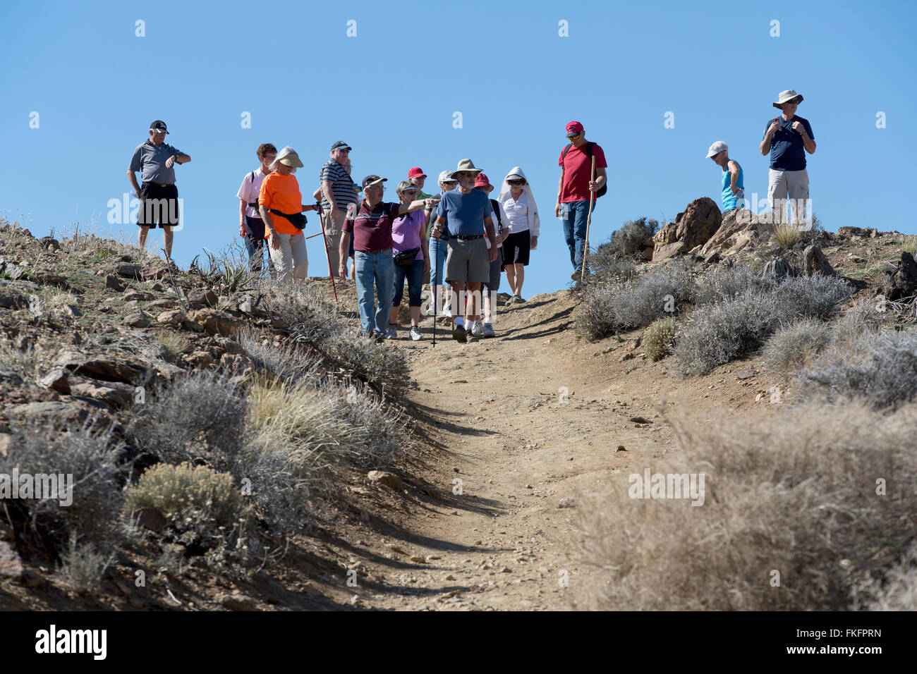 Group hiking on the Lost Horse Mine trail, Joshua Tree National Park, California, USA Stock Photo
