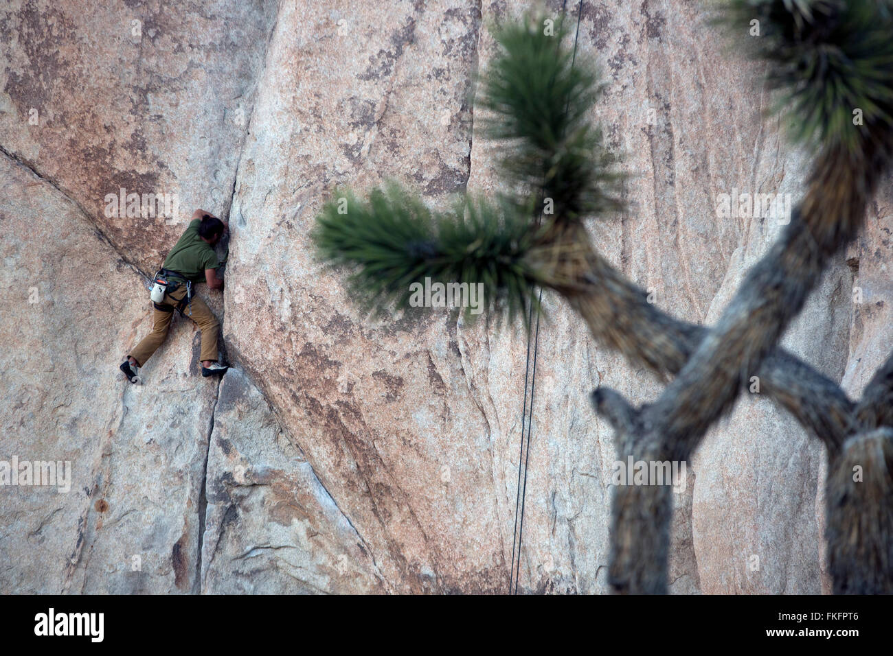 Rock climber, Hidden Valley, Joshua Tree National Park, California, USA Stock Photo