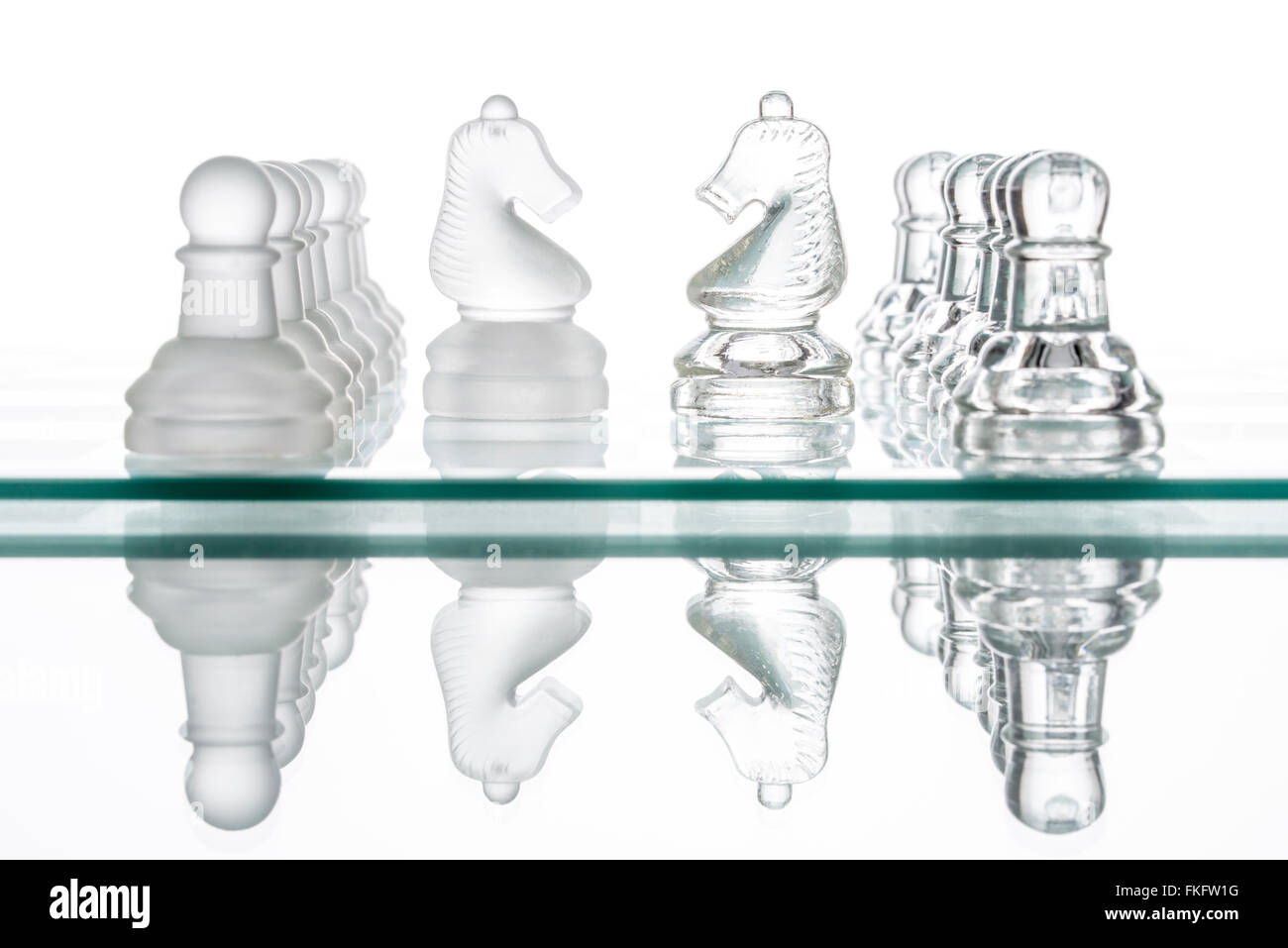 two chess horses, business  face to face war confrontation Stock Photo