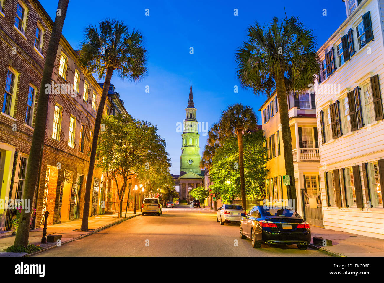 Charleston historic palm trees hires stock photography and images Alamy