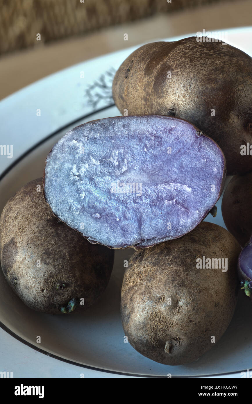 Blue congo potato hires stock photography and images Alamy