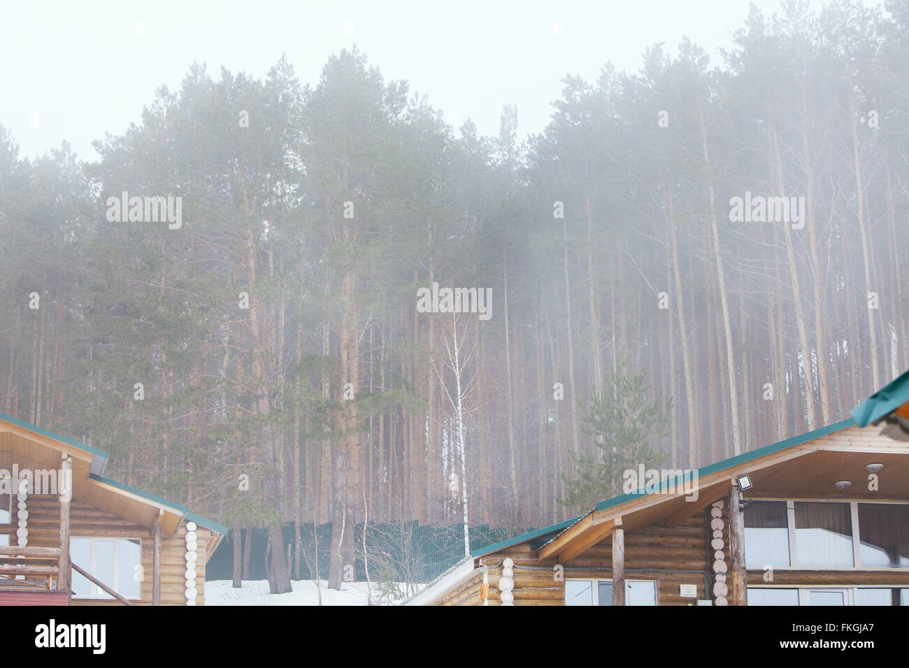 wooden house in the pine forest Stock Photo - Alamy