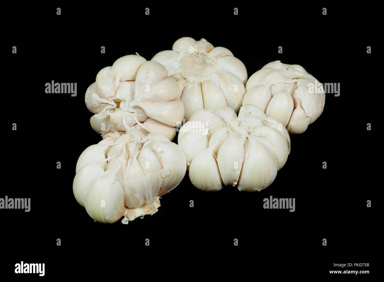 Garlic isolated on black background. Stock Photo