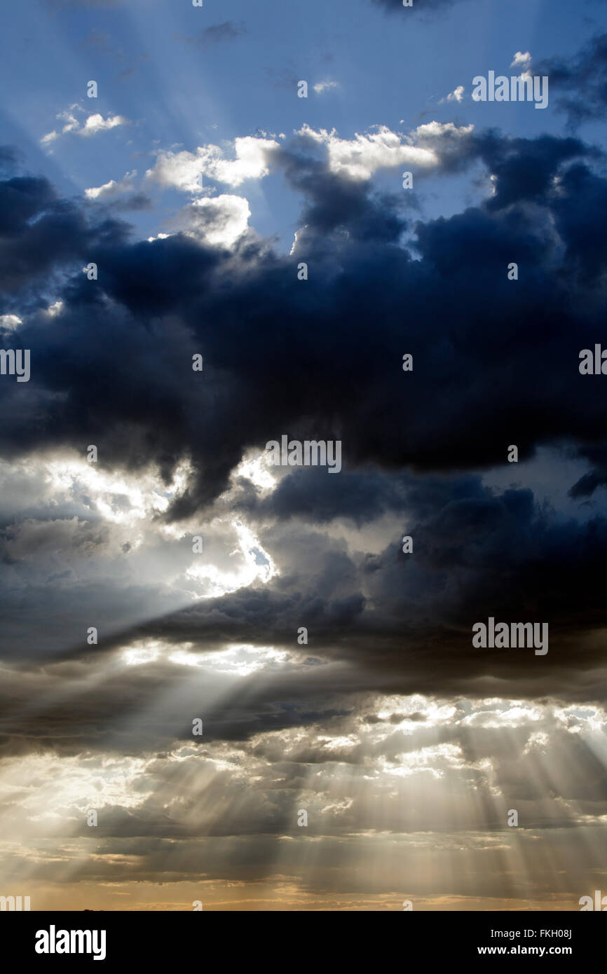 A scenic view of bursting clouds in the Etosha National Park Namibia Stock Photo
