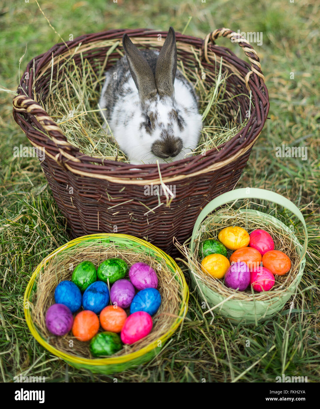 ILLUSTRATION: A rabbit in a wicker basket and Easter baskets full of ...
