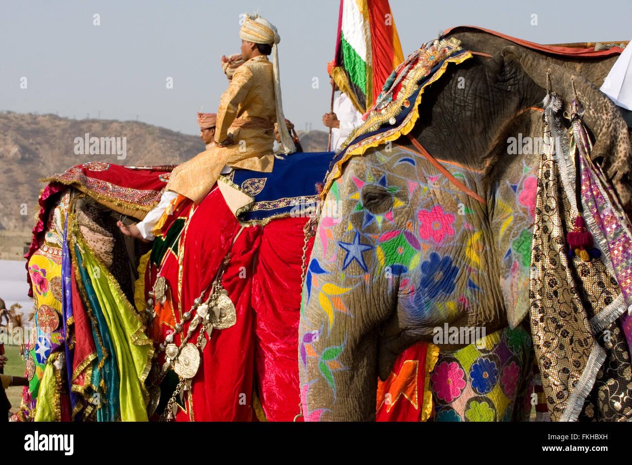 During elephant festival during holi,Hindu celebration in Jaipur ...