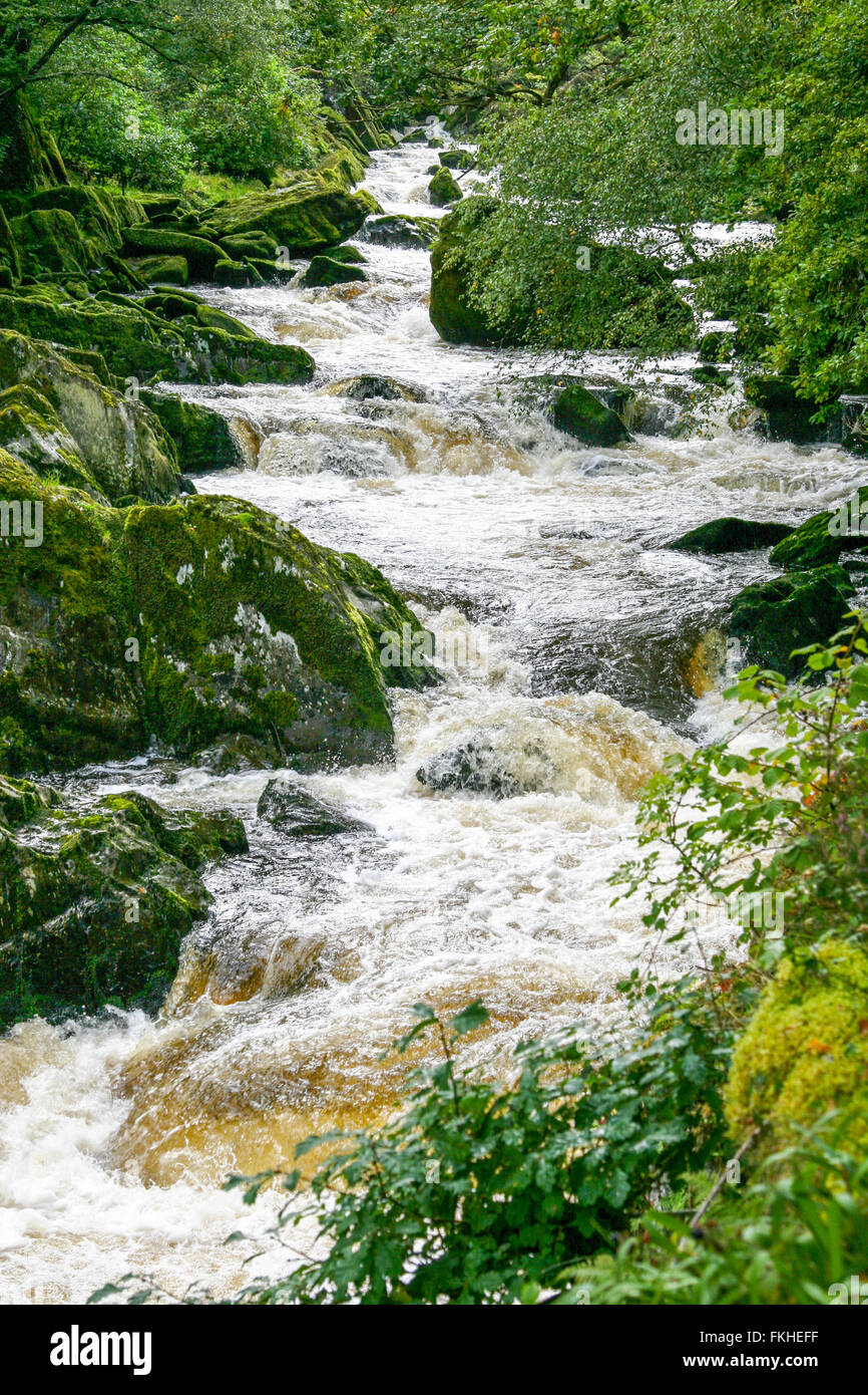 River Lledr cascading over rocks, Snowdonia, Wales Stock Photo