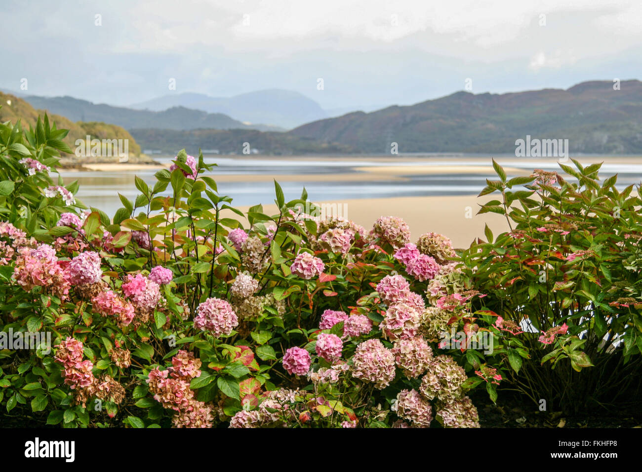 View of Traeth Bach from Portmeirion Stock Photo