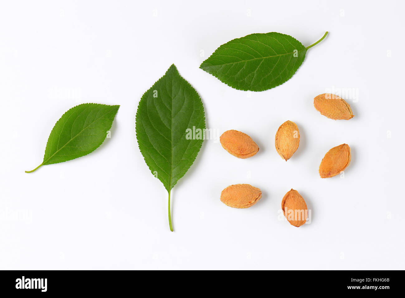 plum leaves and stones on white background Stock Photo