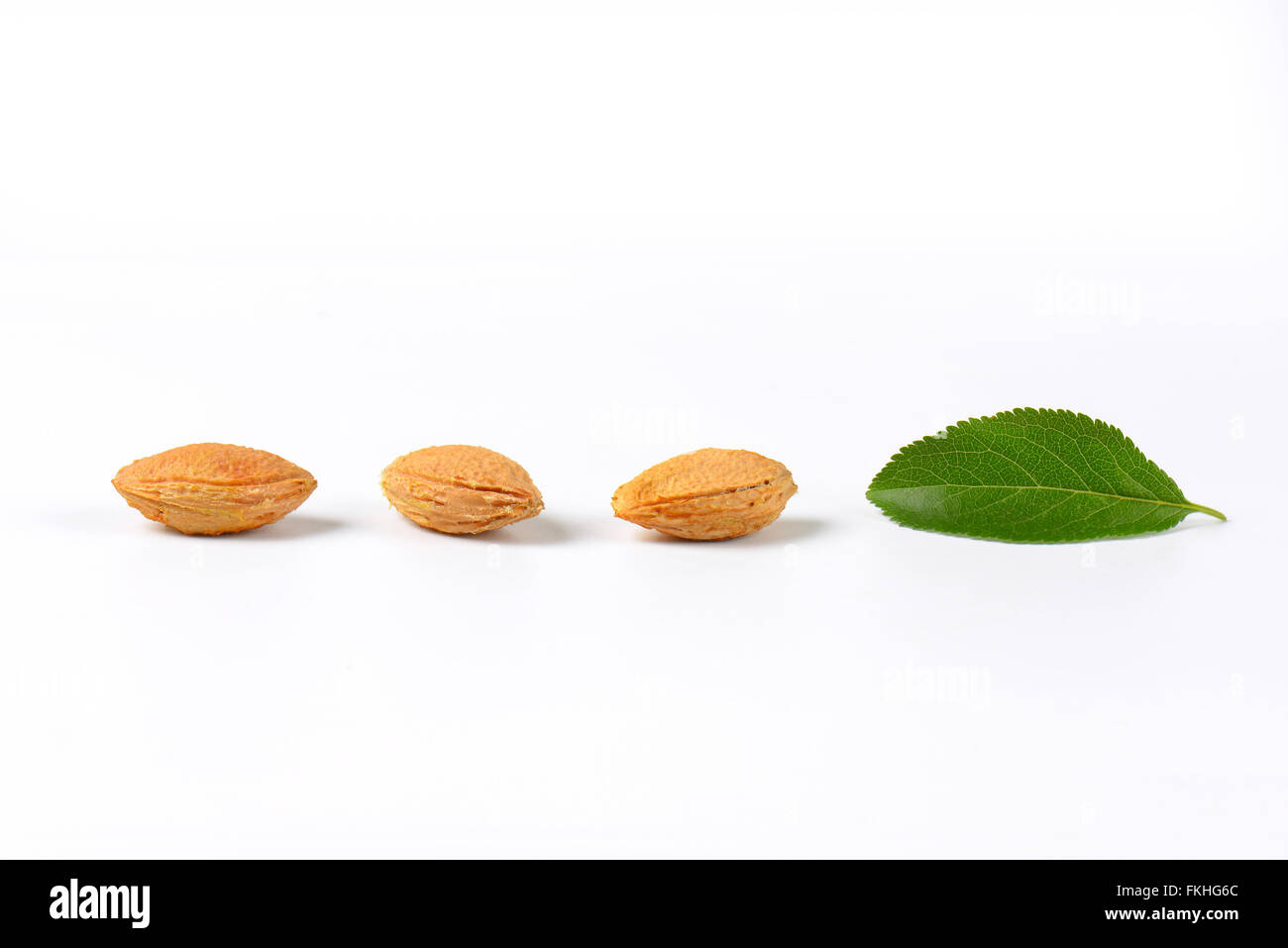 plum leaves and stones on white background Stock Photo