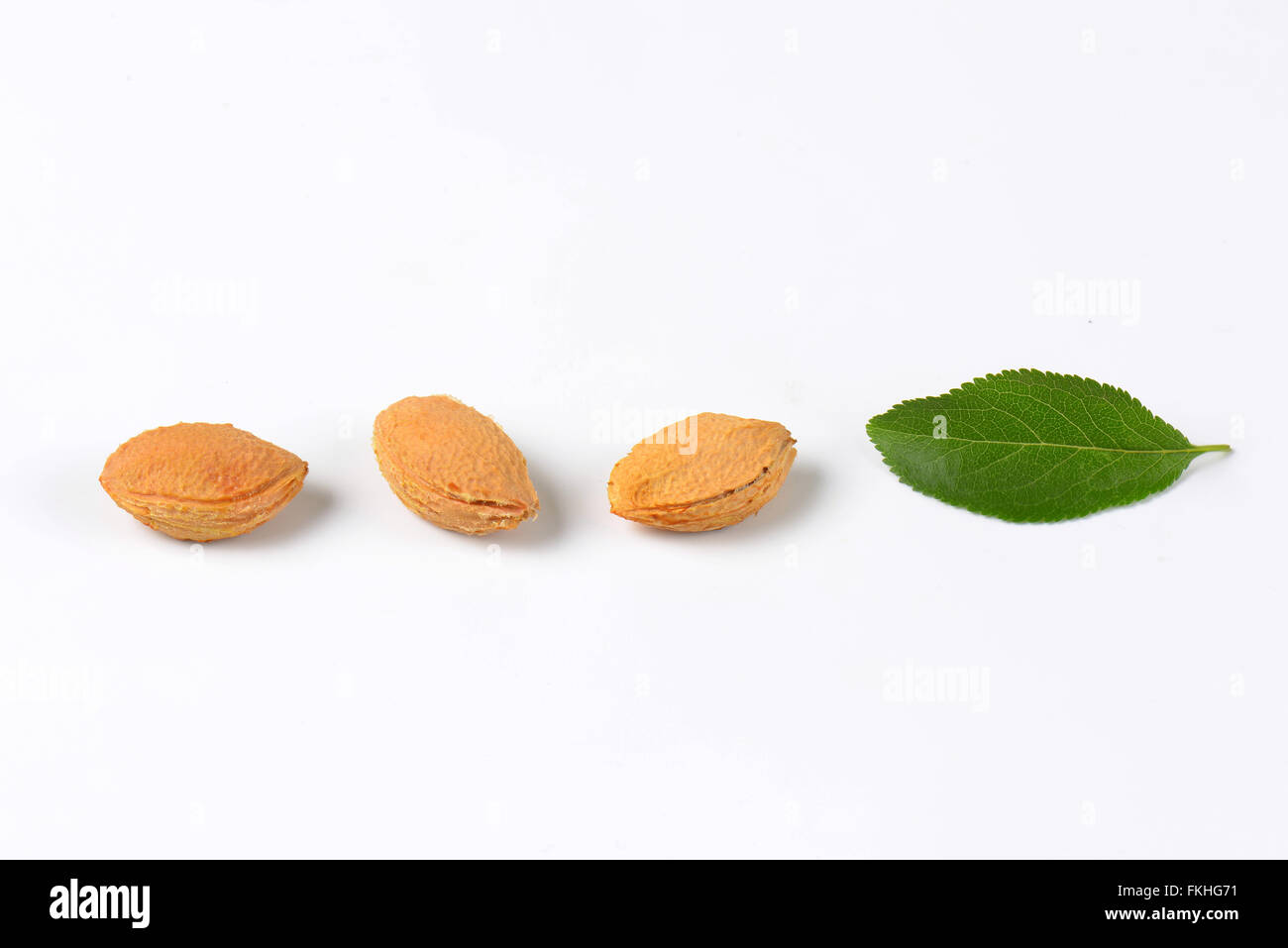 plum leaves and stones on white background Stock Photo