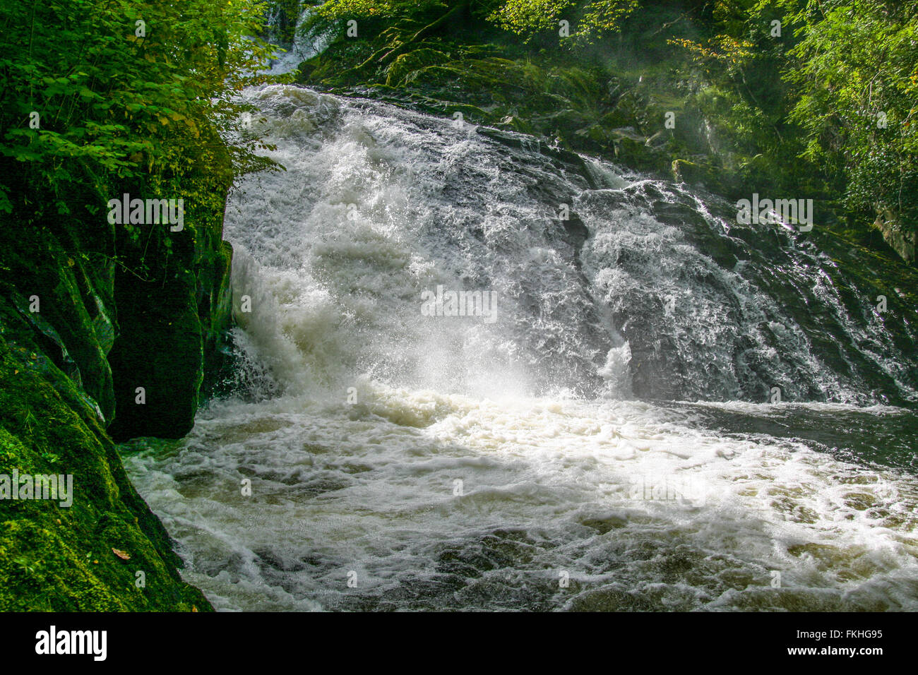 Water cascading at Swallow Falls, BetwsyCoed Stock Photo Alamy