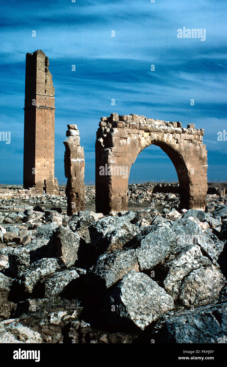 The c12th Ruins of Harran University, built by the Ayyibid dynasty, Harran, Turkey Stock Photo