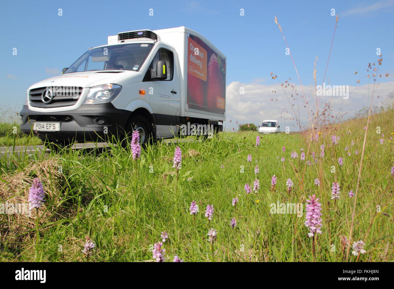 Common spotted orchids grow on a roadside verge in the Peak District National Park near Sheffield, England UK - June Stock Photo