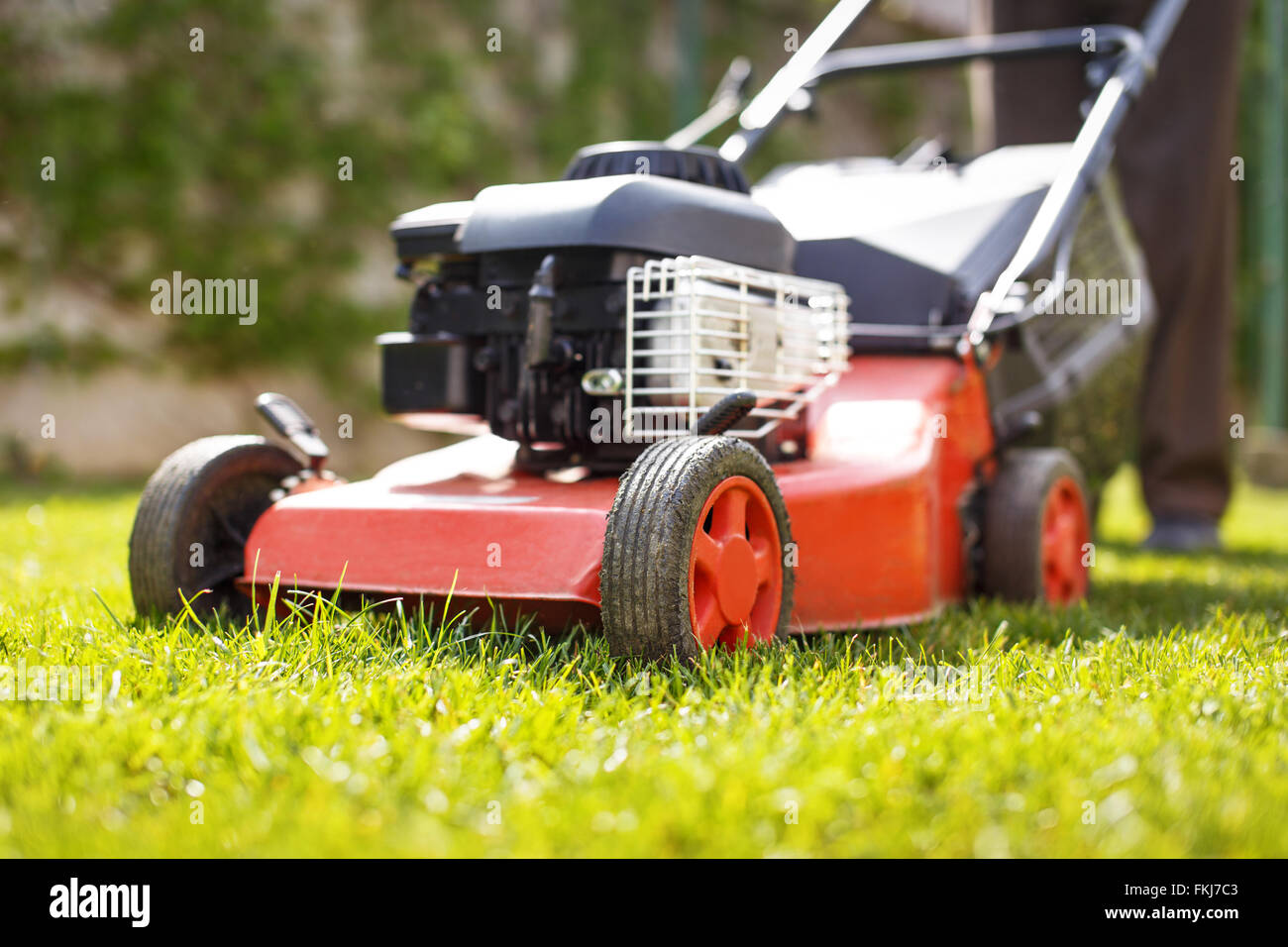 Man cut grass with lawnmower at backyard closeup, outdoor works Stock Photo