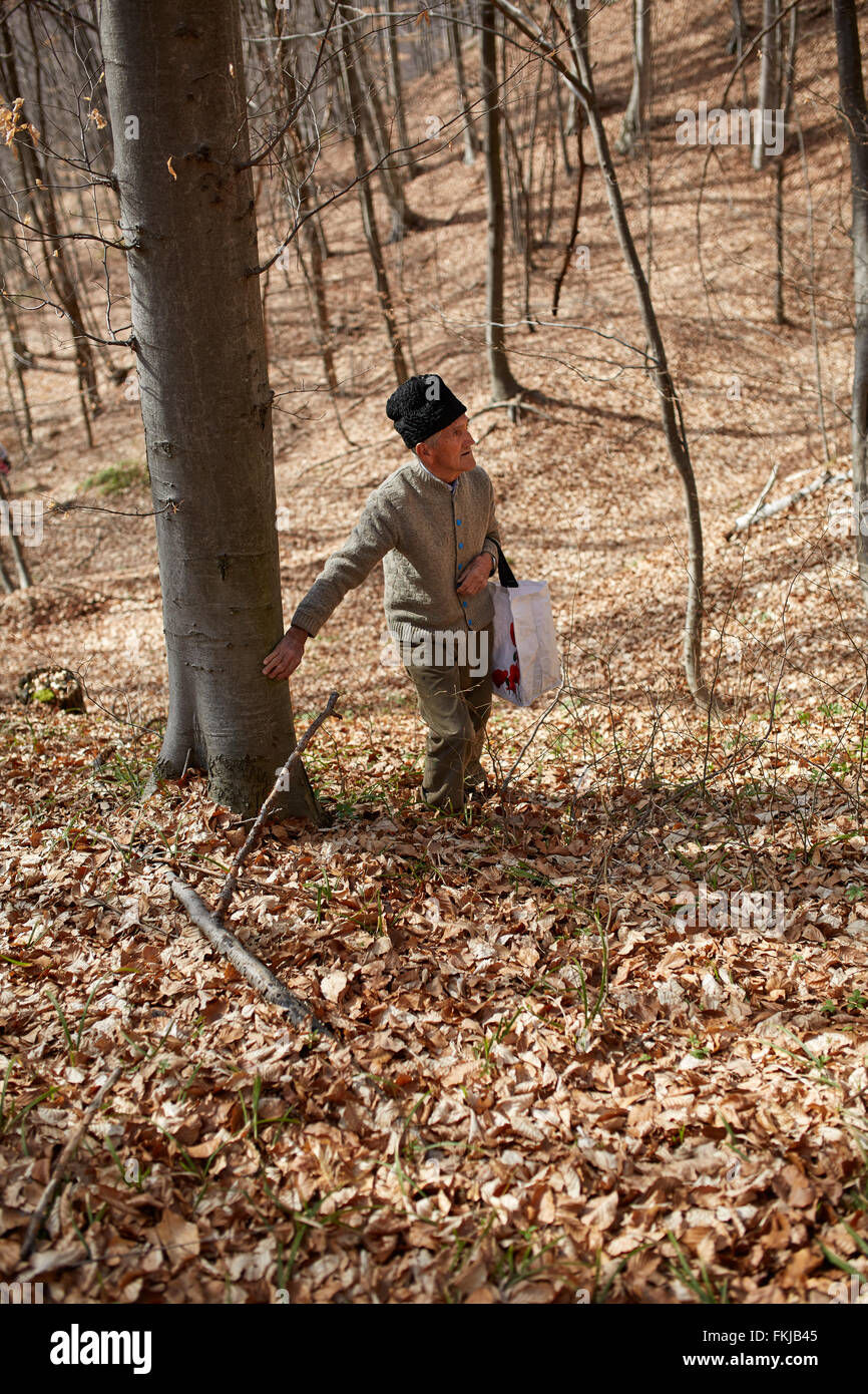 Tired old farmer going uphill through the forest, having a moment of rest Stock Photo Alamy