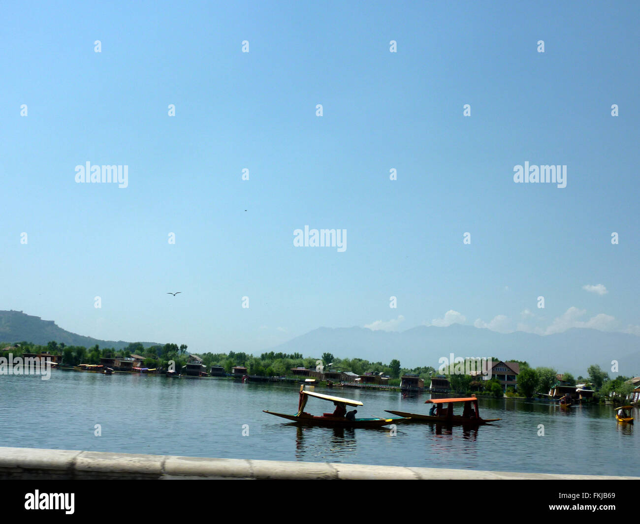 Shikara ride in Dal Lake, Srinagar, Kashmir, with distant view of House boats, floating gardens and Shankeracharya hill Stock Photo