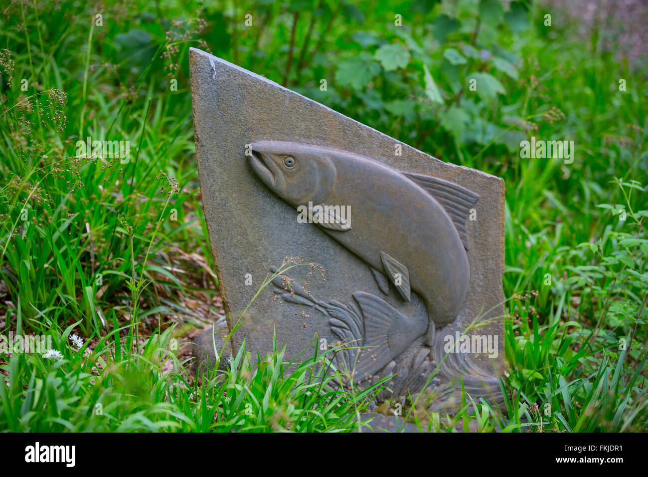 Sculpture of a leaping salmon beisde the river Ericht in the town of Blairgowrie, Perthshire, Scotland, UK Stock Photo