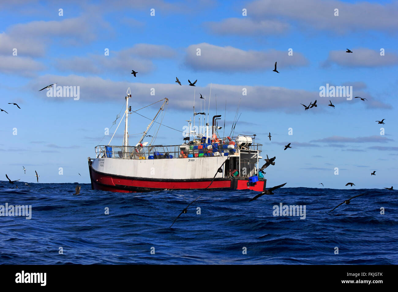 Trawler, catching fish, Cape of the Good Hope, Cape, South Africa, Africa Stock Photo