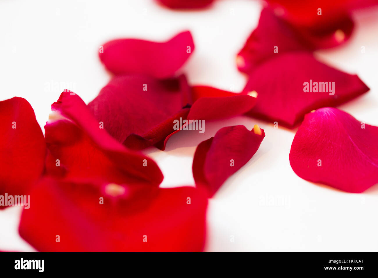 close up of red rose petals Stock Photo - Alamy