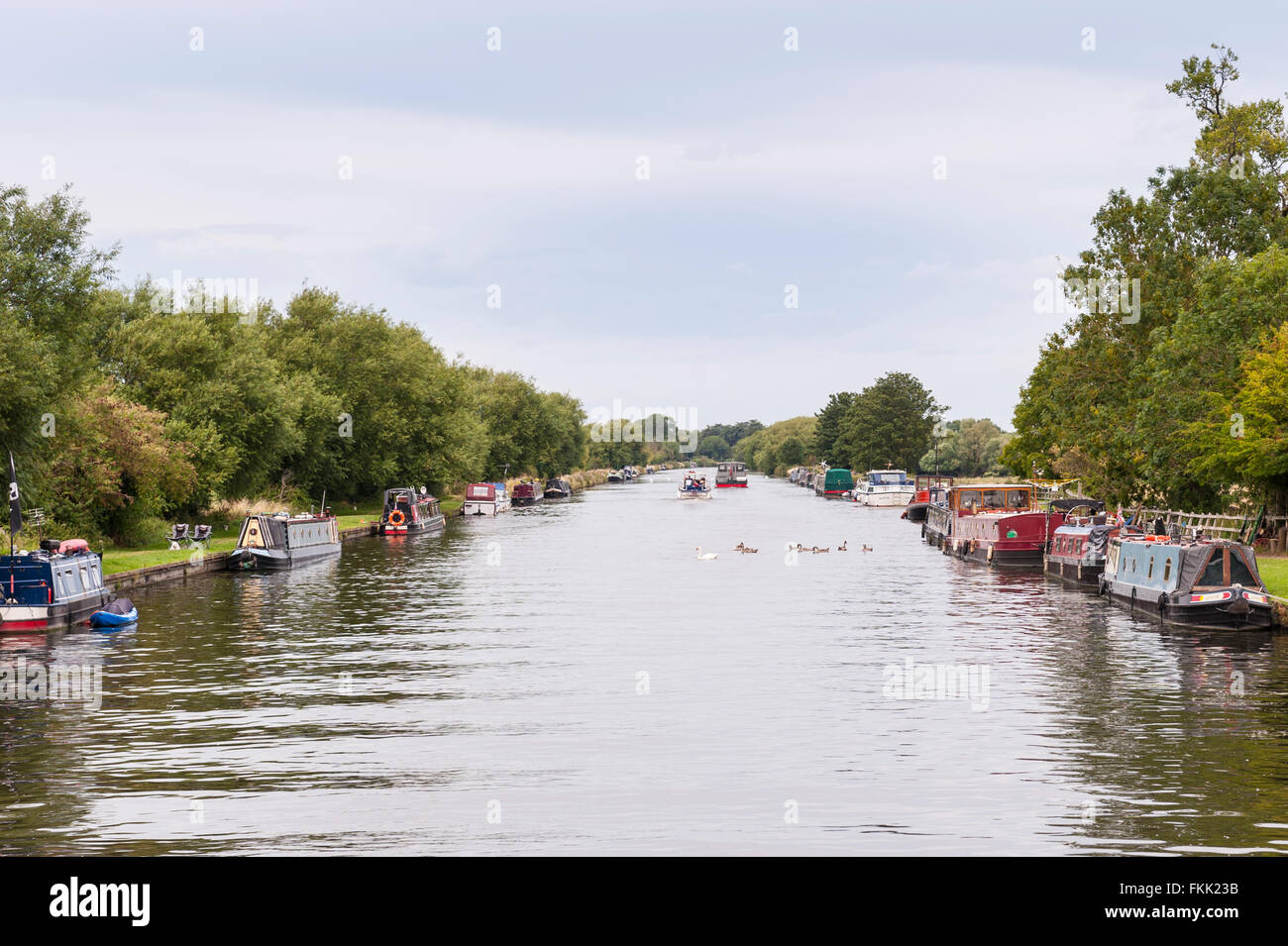 The canal in Frampton-on-Severn , Gloucestershire , England , Britain , Uk Stock Photo