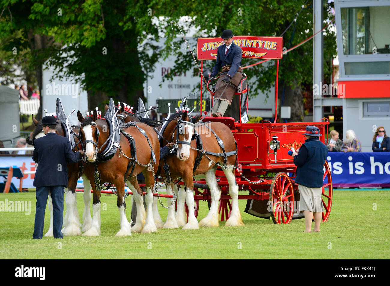 Heavy horse turnouts (fours) at Royal Highland Show 2015, Ingliston ...