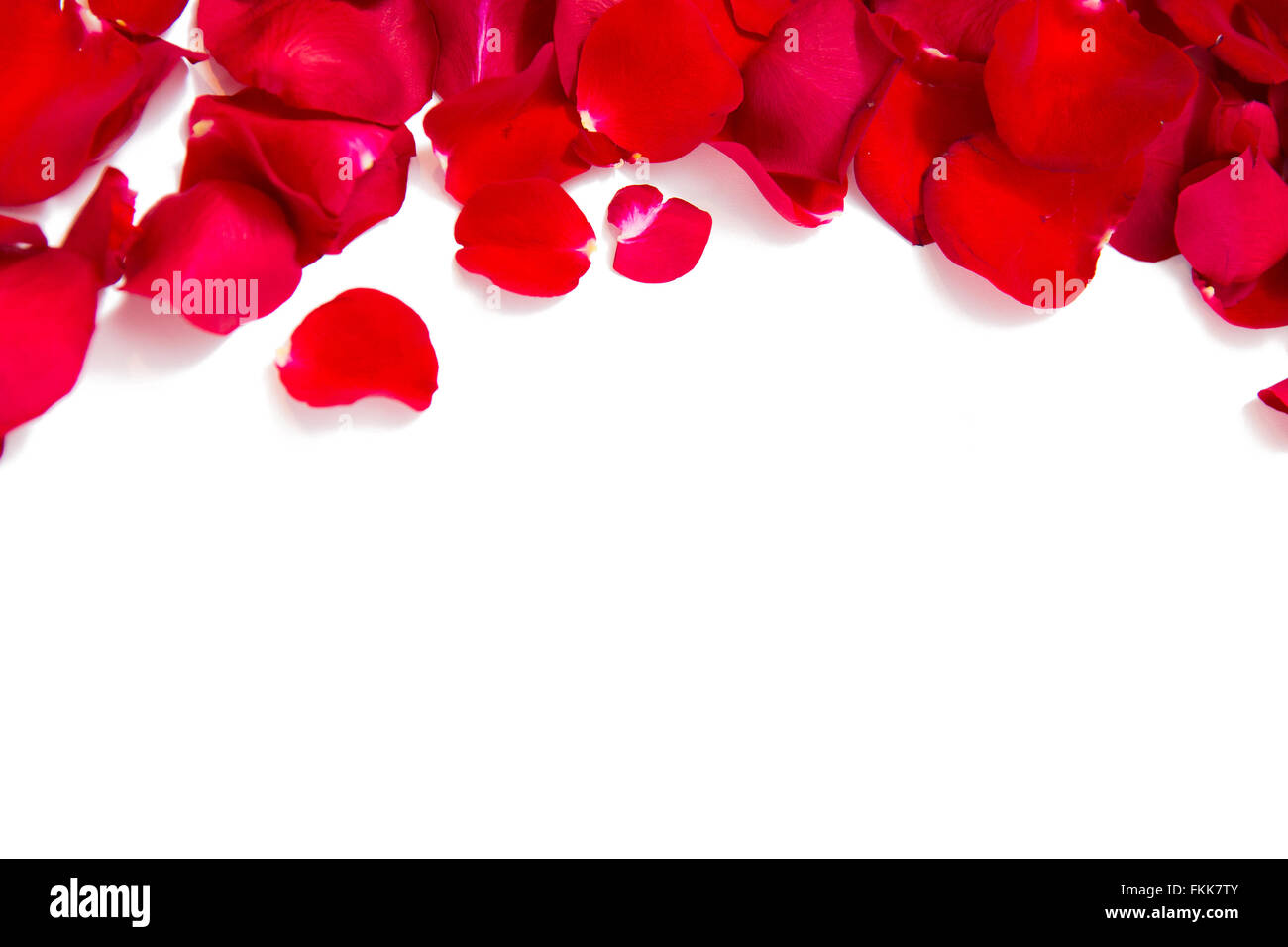 close up of red rose petals with copyspace Stock Photo - Alamy