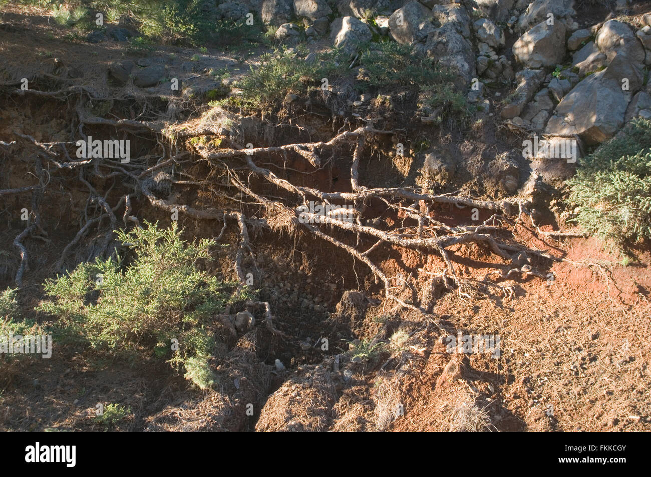 Soil Erosion High Resolution Stock Photography and Images Alamy