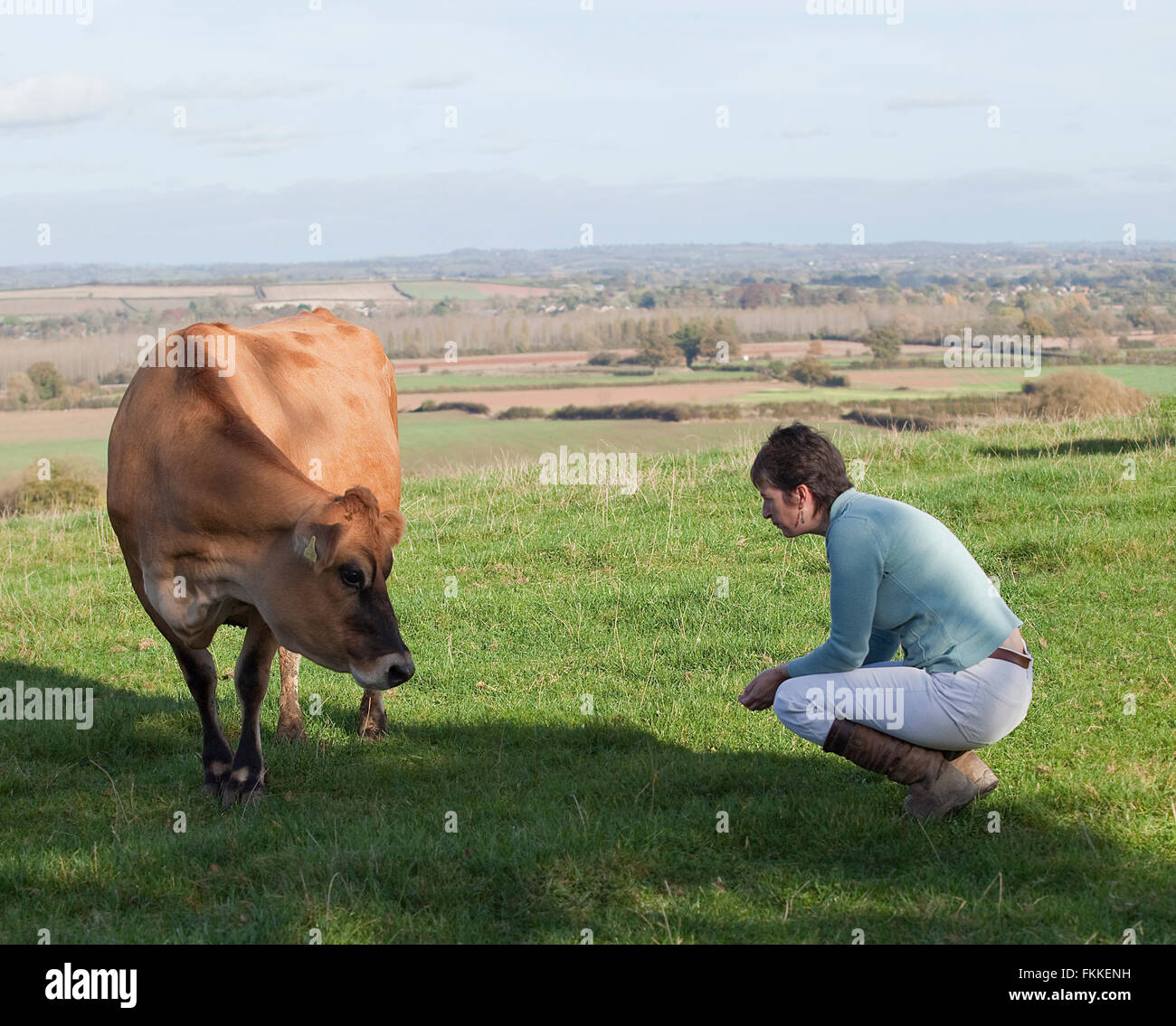 Cow looks at girl in field Stock Photo