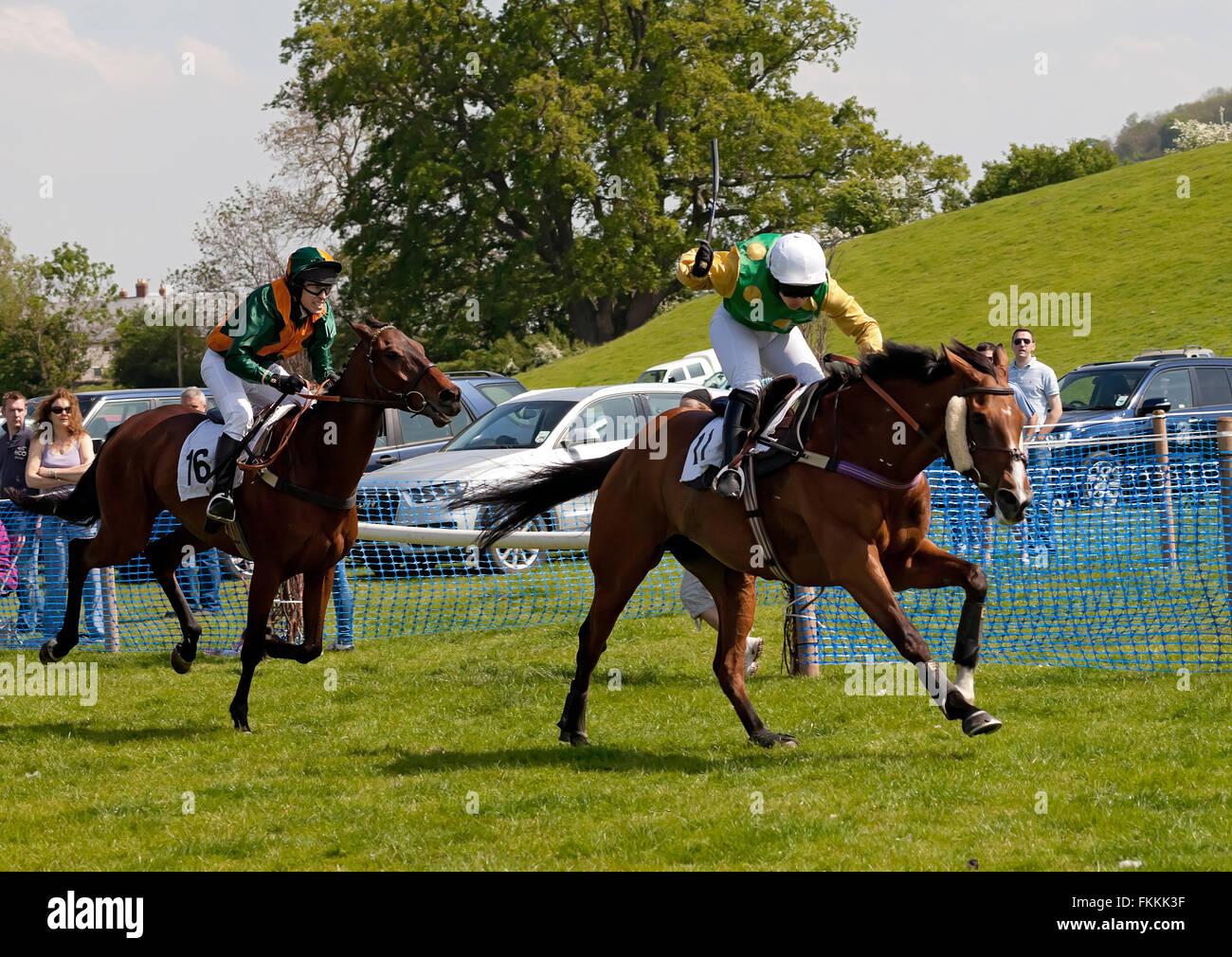 Horses racing at a Point-to-Point Stock Photo