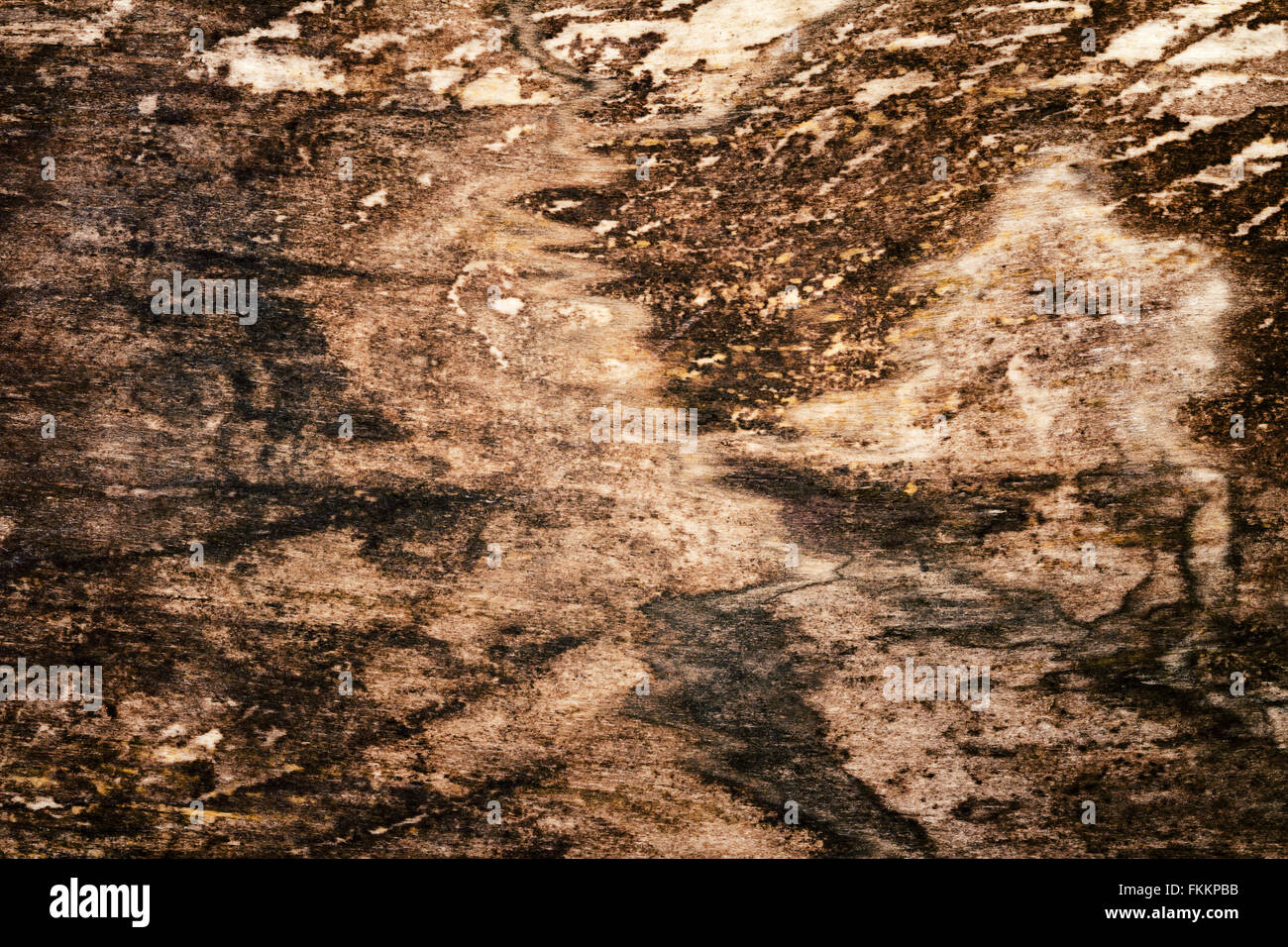 Old rotten moldy wood texture background Stock Photo Alamy